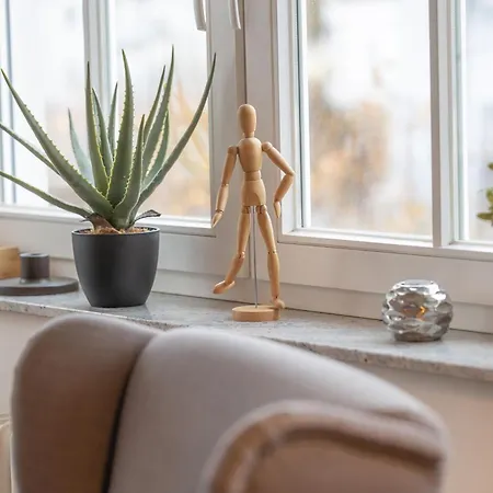 Hansa 6 아파트 빈츠